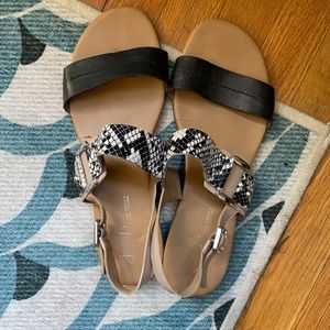 Franco Sarto Black and White sandals